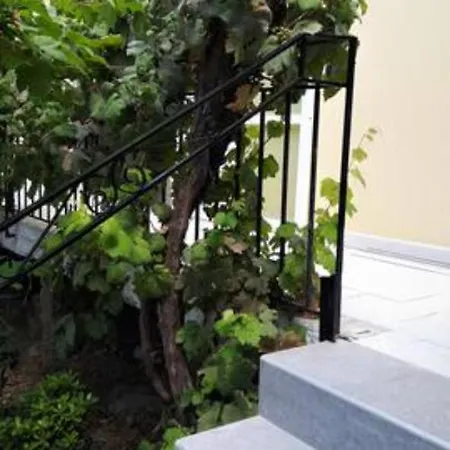 Apartmán Les Amandiers The Almond Trees By Corfuescapes